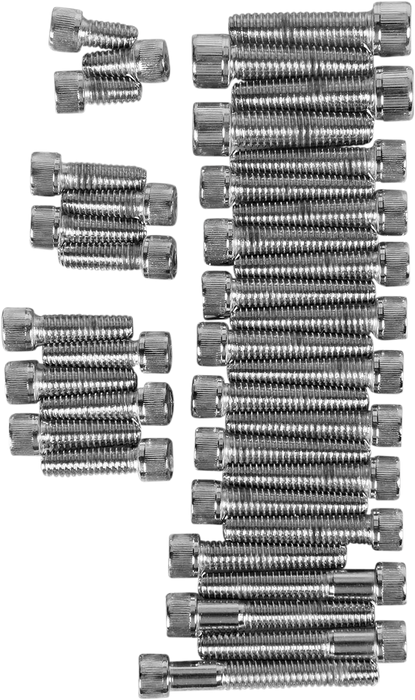 DRAG SPECIALTIES Replacement Knurled Socket-Head Bolt Side Cover Kit - Chrome