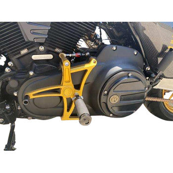 PERFORMANCE MACHINE (PM) Mid Controls - Gold - '17-'21 Touring