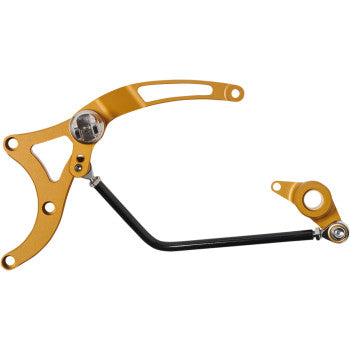 PERFORMANCE MACHINE (PM) Mid Controls - Gold - '17-'21 Touring