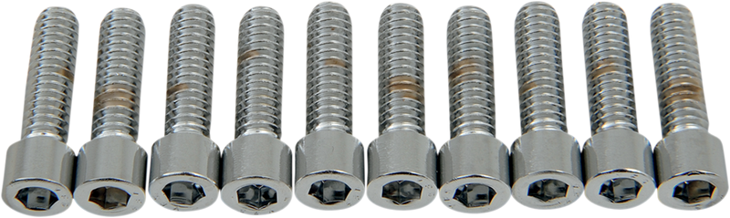 DRAG SPECIALTIES Replacement Socket-Head Bolt - Smooth/Coarse Thread - 1/4-20 x 7/8" - 10 Pack