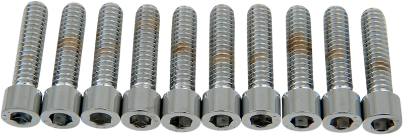DRAG SPECIALTIES Replacement Socket-Head Bolt - Smooth/Coarse Thread - 1/4-20 x 1" - 10 Pack