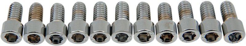 DRAG SPECIALTIES Replacement Socket-Head Bolt - Smooth/Coarse - 5/16-18 x 5/8" - 10 Pack