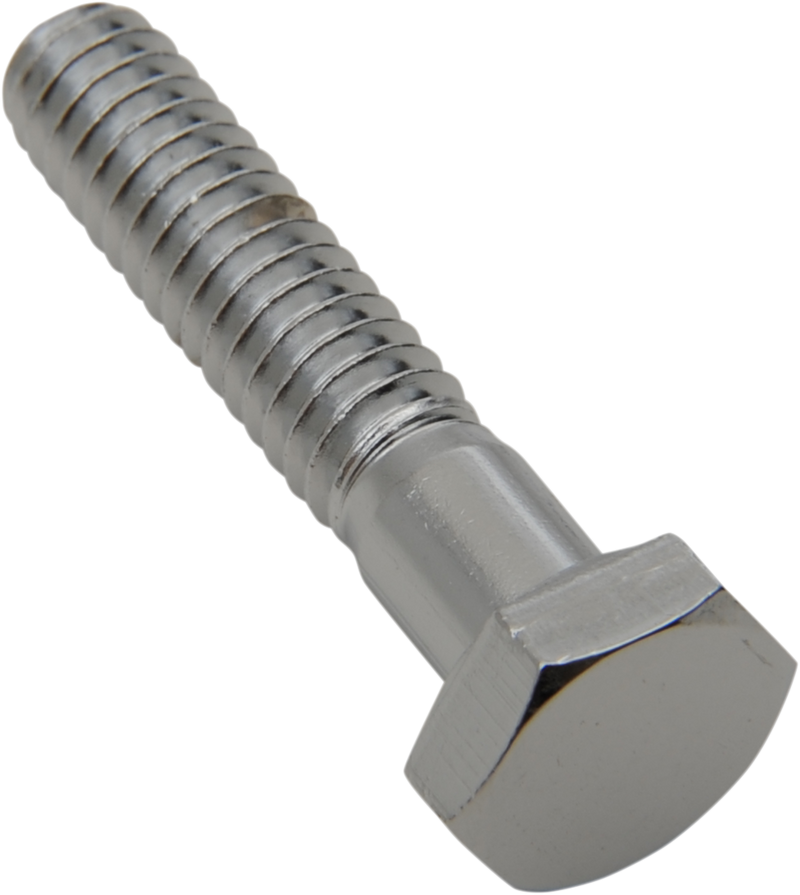 DRAG SPECIALTIES Hex-Head Chrome Bolts - 1/4"-20 x 1-1/4" - 10 Pack