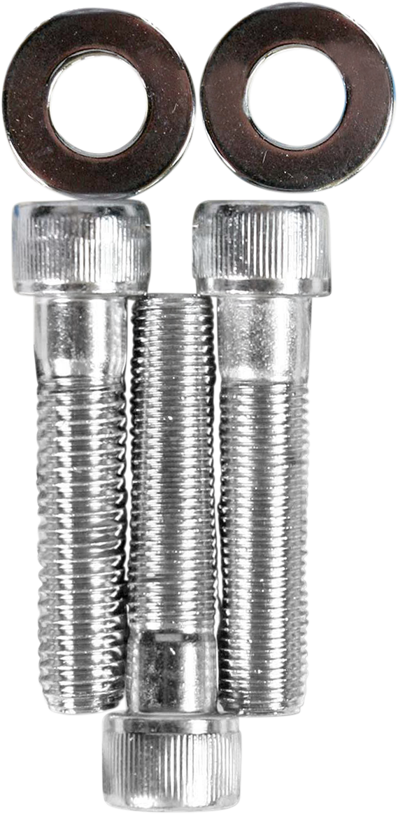 DRAG SPECIALTIES Chrome Triple Tree Pinch Bolt Kit