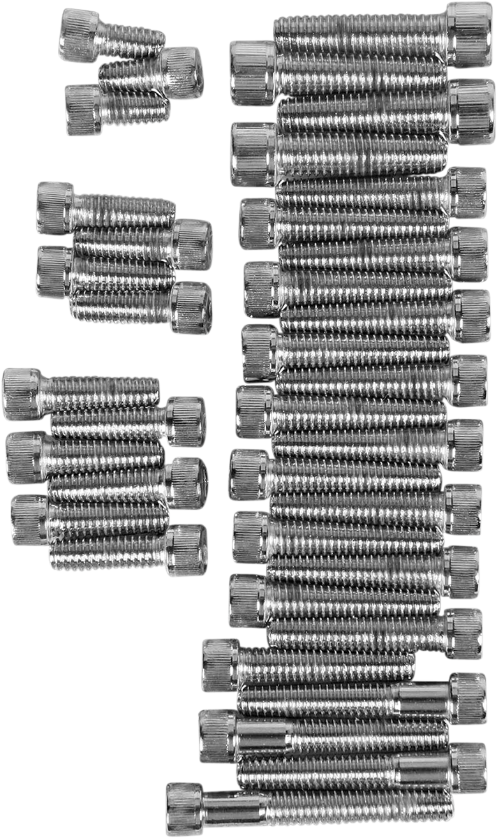 DRAG SPECIALTIES Replacement Knurled Socket-Head Bolt Side Cover Kit - Chrome
