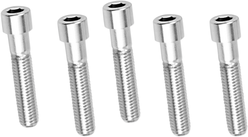 DRAG SPECIALTIES Socket-Head Replacement Bolts - Coarse Thread - 1/2"-13 x 2-1/2" - 5 Pack
