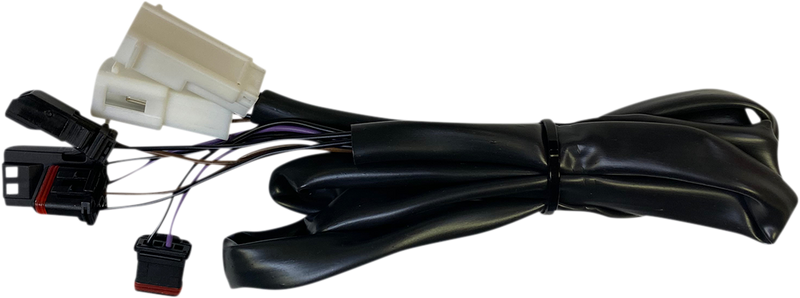 CUSTOM DYNAMICS Low Rider Integrated Taillight Harness