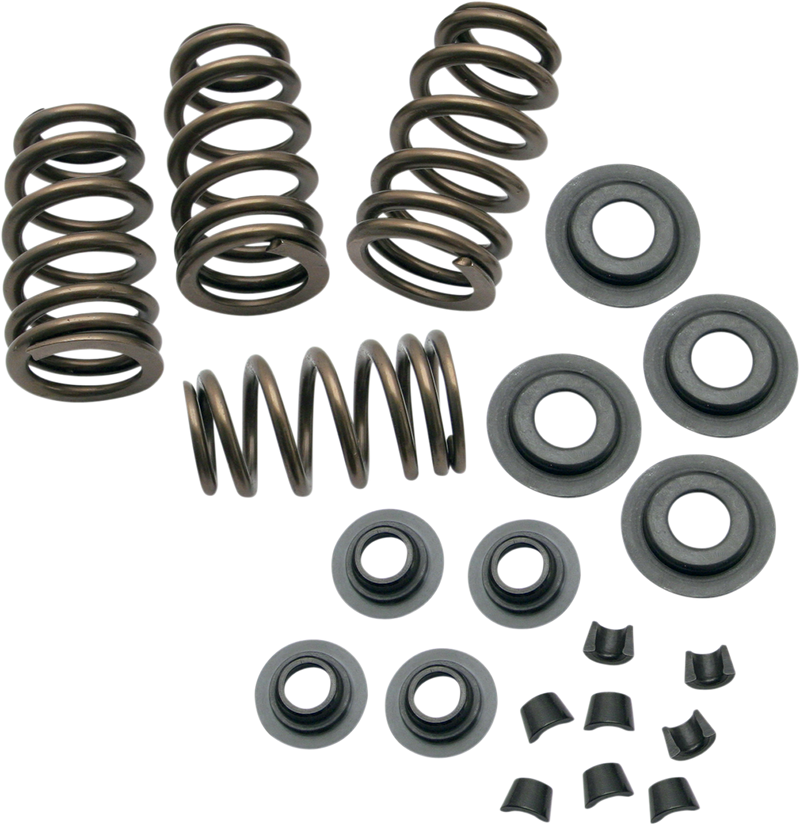 S&S CYCLE Spring Kit - .650"