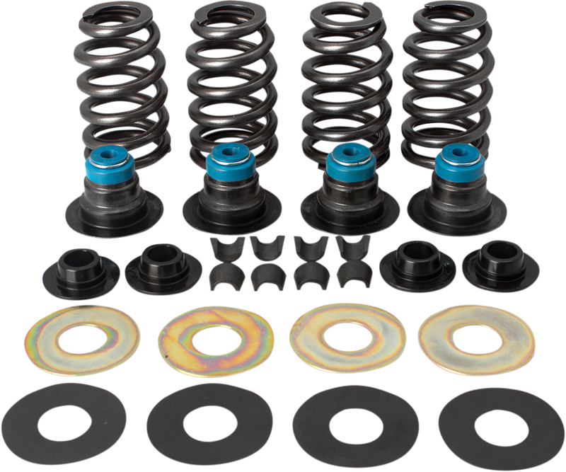 Cycle Back Spring S&S CYCLE Valve Spring Kit - 0.585