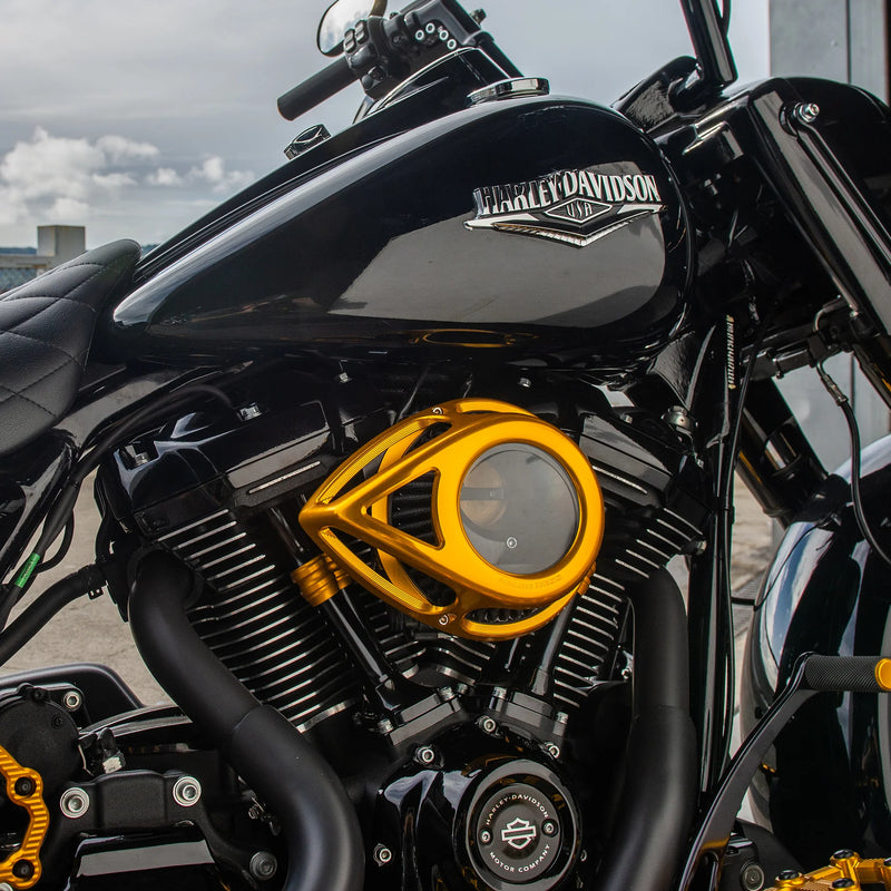 ARLEN NESS Tear Series Clear Air Cleaner Kit - Gold Anodized