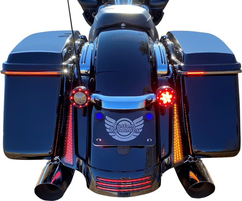 CUSTOM DYNAMICS Dual Color Fascia LED Panel Lights - Black - Smoke Lens