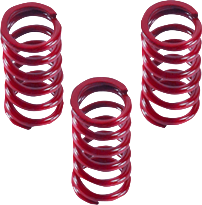 DRAG SPECIALTIES Replacement Standard Clutch Springs