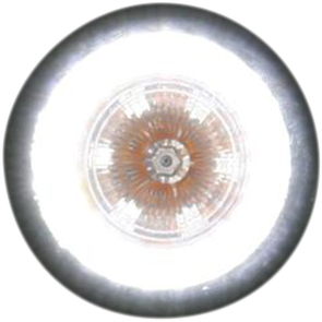 CUSTOM DYNAMICS ProBEAM® Universal LED Bullet Bezel Turn Signals - Gloss Black/Clear