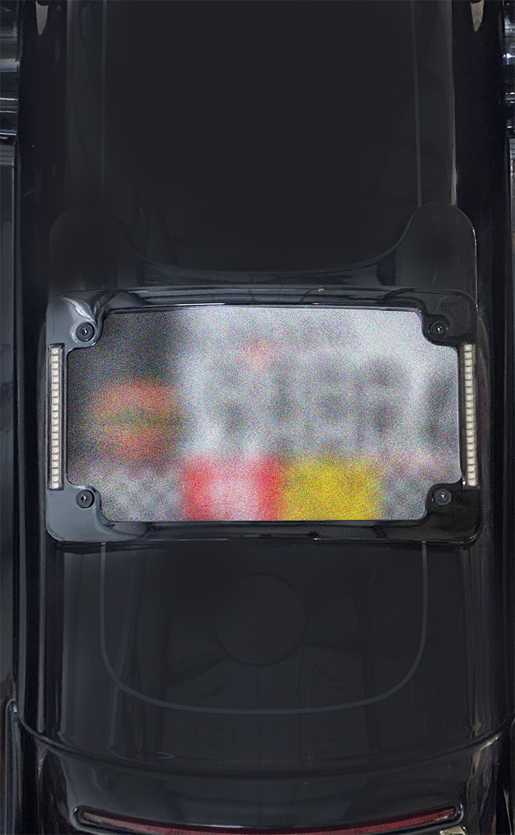 CUSTOM DYNAMICS Plug & Play LED Radius License Plate Frame - Black