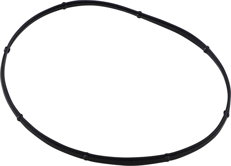 JAMES GASKET Derby Cover Gasket - Big Twin JGI-17369-06