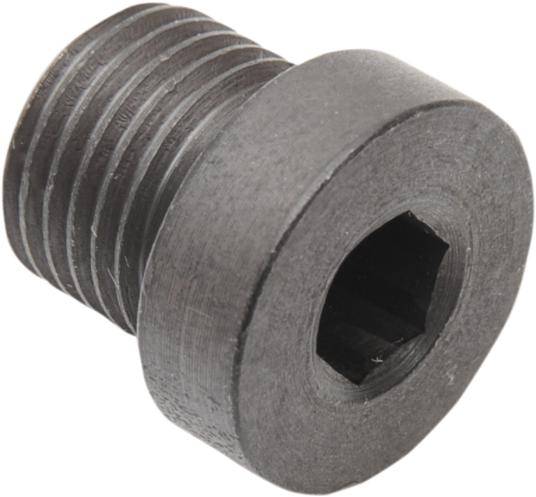 DAYTONA TWIN TEC LLC O2 Sensor Plug - 12 mm x 1.25 mm - Steel 115010