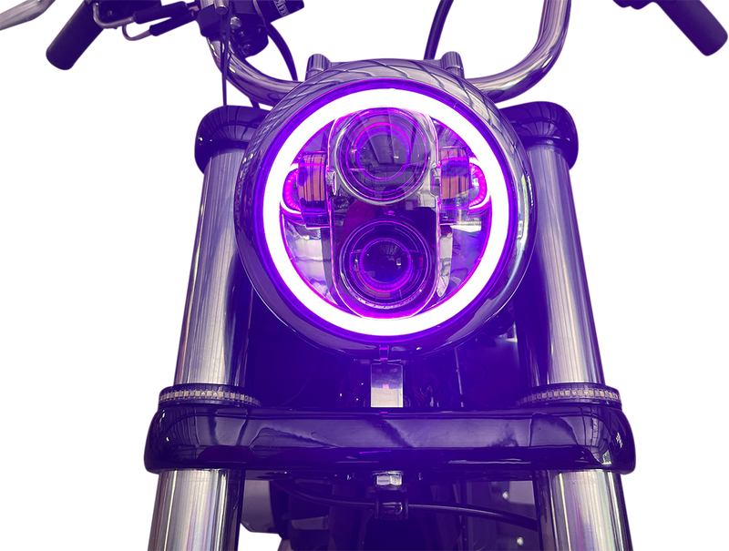 CUSTOM DYNAMICS ProGLow 5 3/4" LED Headlamp  - with Mounting Ring