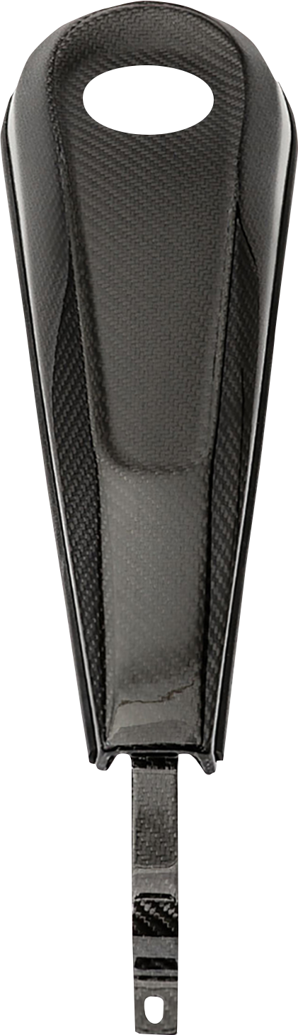 SLYFOX Carbon Fiber Dash Panel - With Hole - Gloss Black - '08-'21 SOFTAIL & TOURING