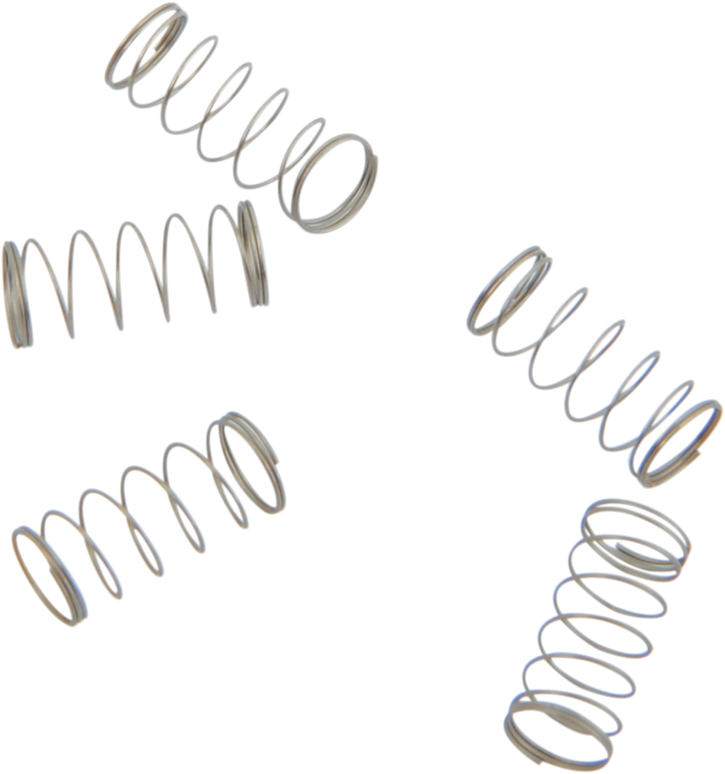 S&S CYCLE Springs - Check Ball - 5 Pack