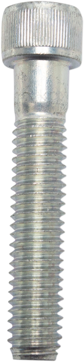 S&S CYCLE Socket Head Cap Screw - 3/8-16 X 2"