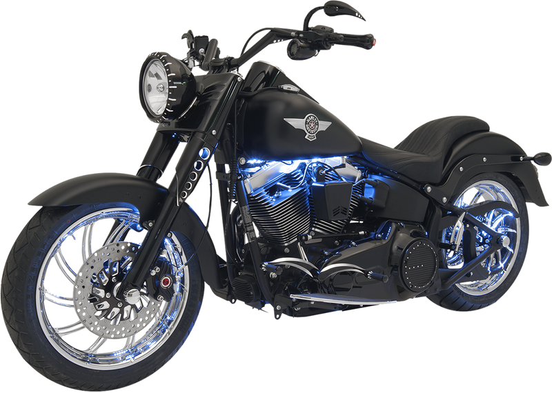 CUSTOM DYNAMICS Magicflex®2 Cruiser LED Engine Kit - Purple