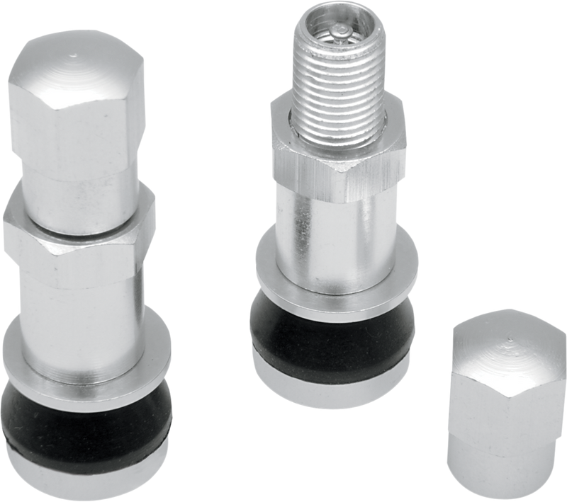 DRAG SPECIALTIES Replacement Bolt-In Valve Stem Set - Chrome - 0.3" Hole Size