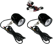CUSTOM DYNAMICS ProBEAM® LED Halo Fog Lamps - HD - Black