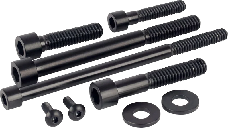 FIGURATI DESIGNS Engine Bolt Kit - Titanium/Race Black - M8 FD100-M8-TBOLT-BLK