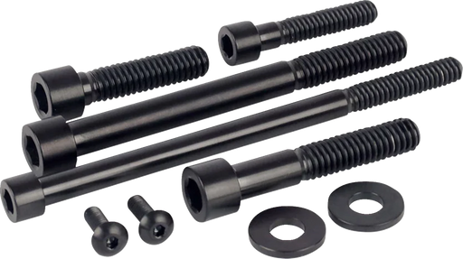 FIGURATI DESIGNS Engine Bolt Kit - Titanium/Race Black - M8 FD100-M8-TBOLT-BLK
