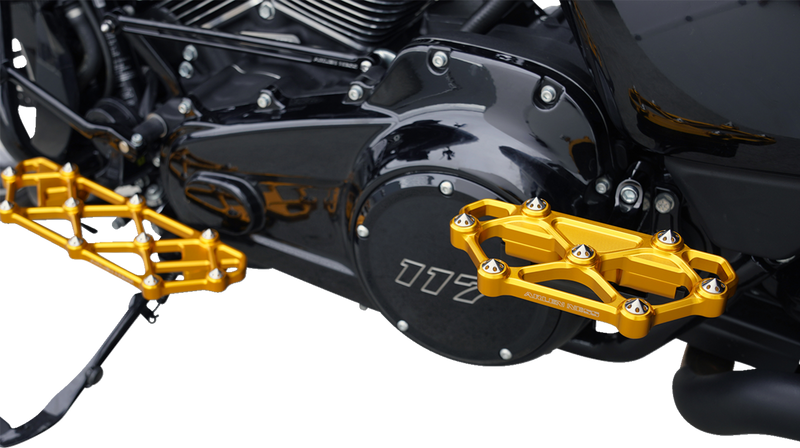 ARLEN NESS Diamond Floorboards - Passenger - Gold 410-061