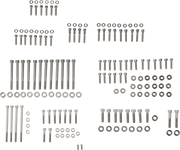 FIGURATI DESIGNS Engine Bolt Kit - Titanium/Speed Silver - M8 FD100-M8-TBOLT-SS