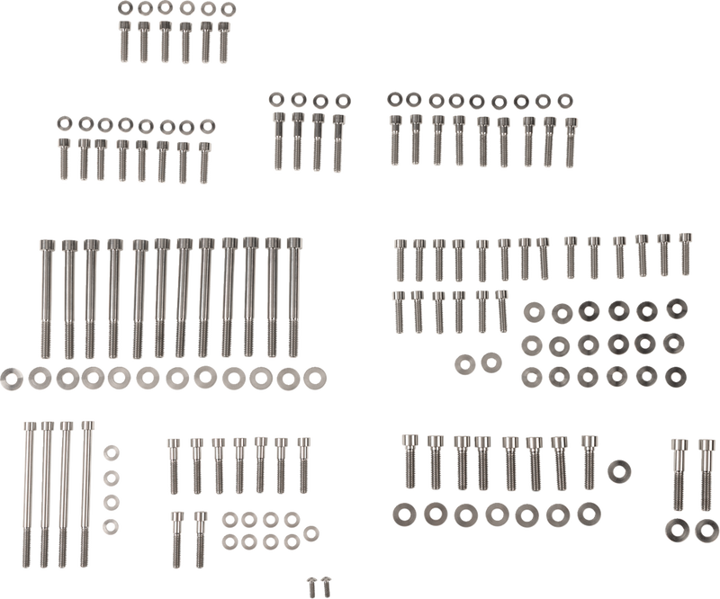 FIGURATI DESIGNS Engine Bolt Kit - Titanium/Speed Silver - M8 FD100-M8-TBOLT-SS