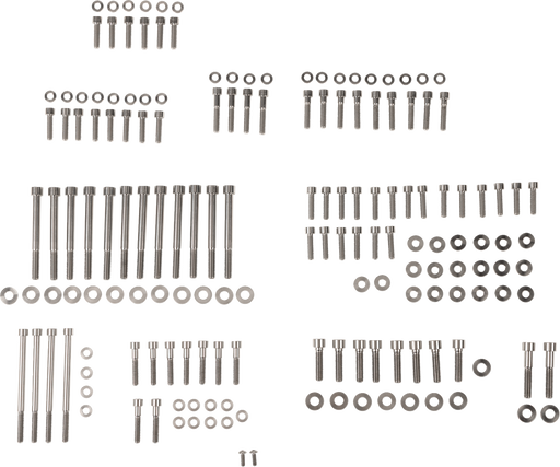 FIGURATI DESIGNS Engine Bolt Kit - Titanium/Speed Silver - M8 FD100-M8-TBOLT-SS