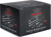 FIGURATI DESIGNS Engine Bolt Kit - Titanium/Speed Silver - M8 FD100-M8-TBOLT-SS