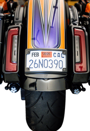 KODLIN USA License Plate Kit with Tag Light - Curved - Black KUS20102