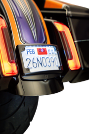 KODLIN USA License Plate Kit with Tag Light - Curved - Black KUS20102