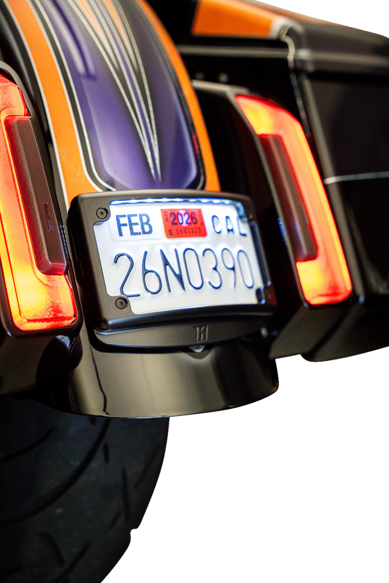 KODLIN USA License Plate Kit with Tag Light - Curved - Black KUS20102