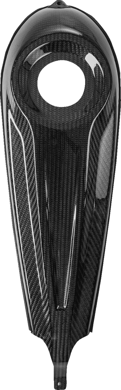 SADDLEMEN Dash Panel - Center Fill - Carbon Fiber/Gloss CF-808-07-001