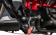 THRASHIN SUPPLY CO. Skid Plate - Carbon Fiber/Gloss - With Red Brackets - FLHX/FLTRX TSC-3034-2