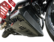 THRASHIN SUPPLY CO. Skid Plate - Carbon Fiber/Gloss - With Red Brackets - FLHX/FLTRX TSC-3034-2