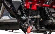 THRASHIN SUPPLY CO. Skid Plate - Carbon Fiber/Forged - With Red Brackets - FLHX/FLTRX TSC-3035-2