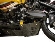 THRASHIN SUPPLY CO. Skid Plate - Carbon Fiber/Forged - With Gold Brackets - FLHX/FLTRX TSC-3035-5