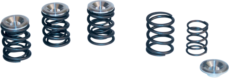 S&S CYCLE Valve Spring Kit - Big Twin