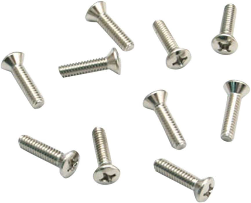 S&S CYCLE Air Cleaner Cover Screws