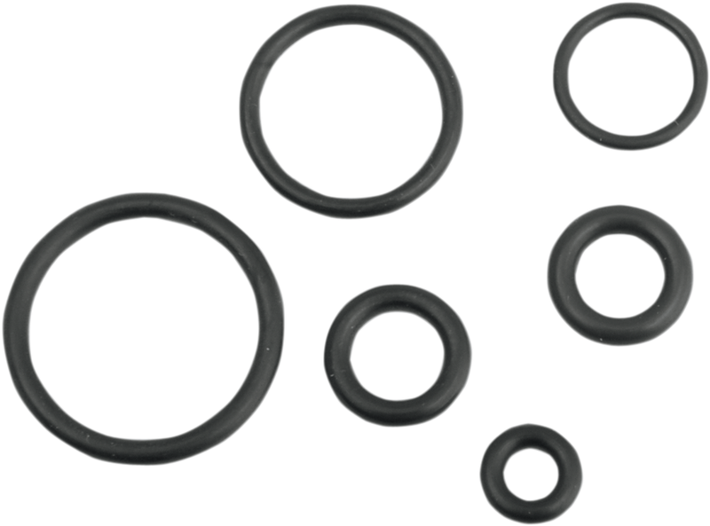 DRAG SPECIALTIES Replacement Fuel Line O-Ring Kit - EFI