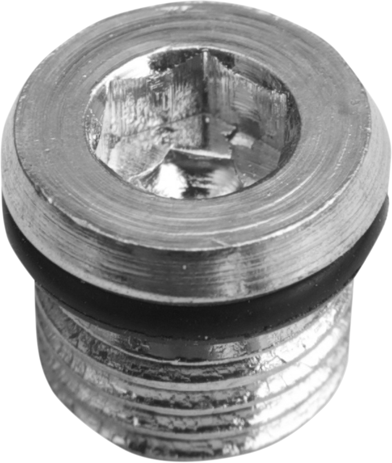 DRAG SPECIALTIES Replacement Magnetic Primary Plug - 5/16"-18