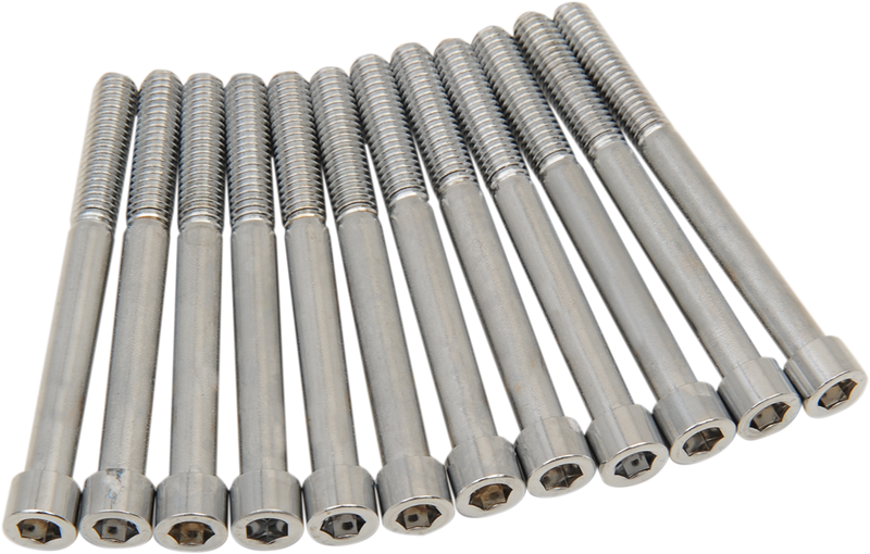 DRAG SPECIALTIES Bolt Kit - Crankcase - Chrome - Smooth - M8