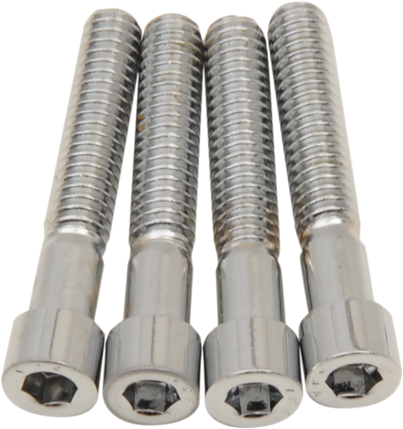 DRAG SPECIALTIES Chrome Bolt Kit Transmission Side Cover - Smooth - M8