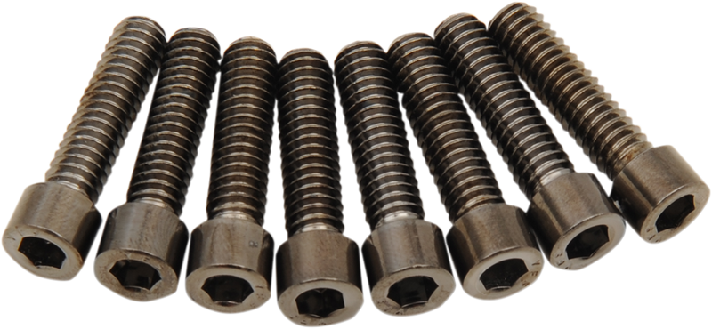 DRAG SPECIALTIES Bolt Kit - Lifter - Black Chrome - Smooth - M8