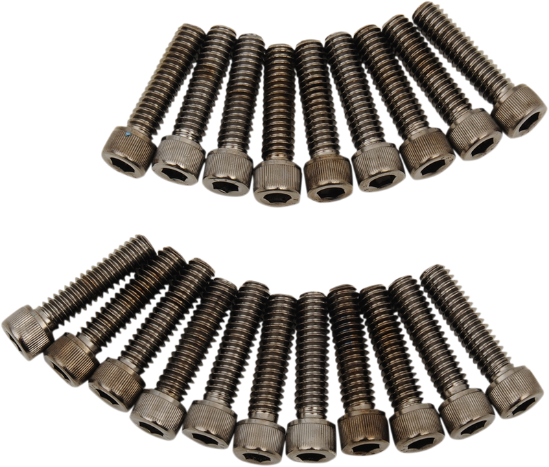 DRAG SPECIALTIES Bolt Kit - Rocker - Black Chrome - Knurled - M8